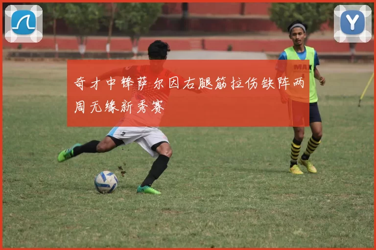 奇才中锋萨尔因右腿筋拉伤缺阵两周无缘新秀赛