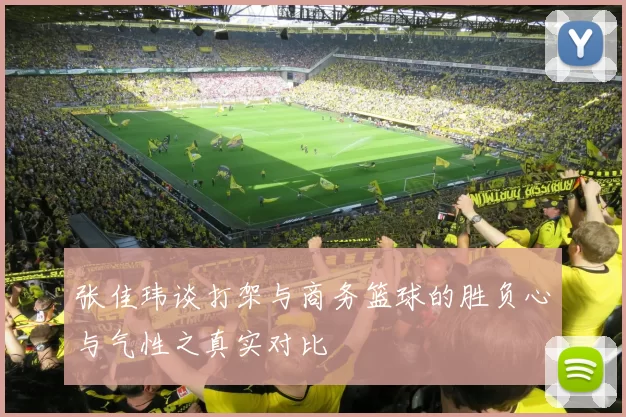 张佳玮谈打架与商务篮球的胜负心与气性之真实对比